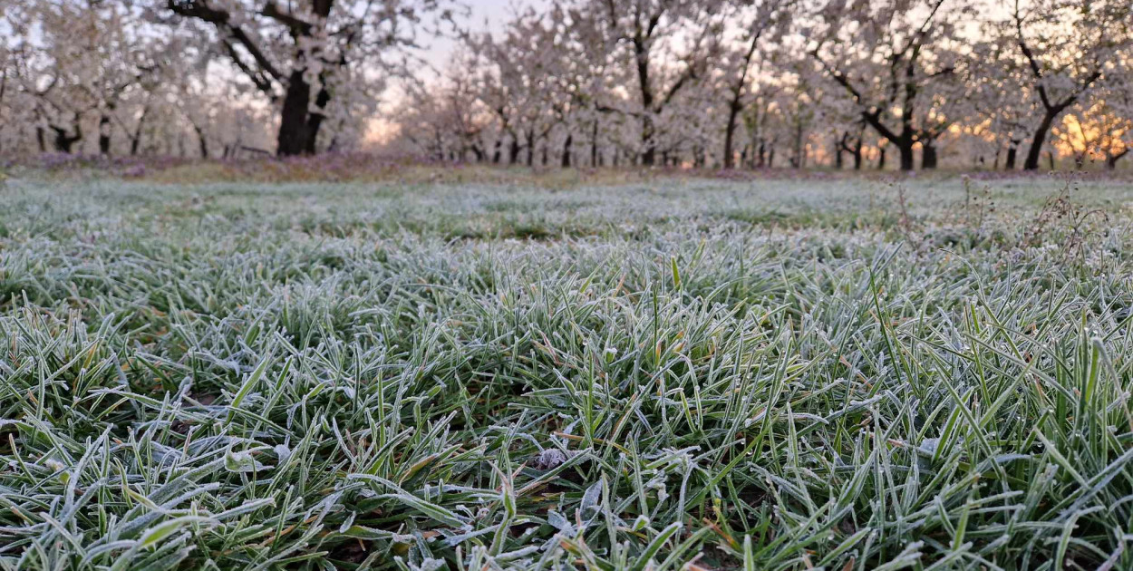 Prognoza na tydzień - chłodniej, możliwe przymrozki i niewiele opadów