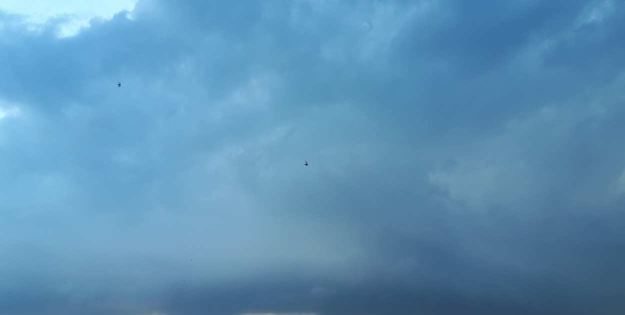 Zdj. Chmura Cumulonimbus (kłębiasto deszczowa - burzowa)