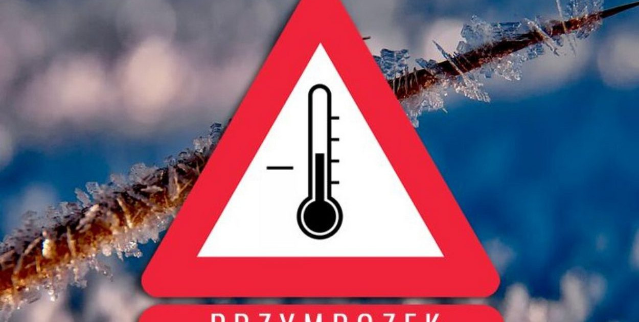 Zdj.: Tylko Toruń