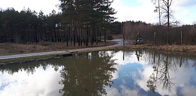 Jak prawidłowo posadzić drzewko