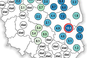 Niewielkie sumy opadów za ostatnią dobę...-3161