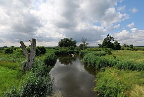 Co dalej z nowym parkiem narodowym? Minister klimatu zdradza plan po wecie-4251