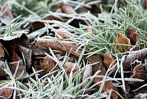 Zimno, ze sporym nocnym i porannym mrozem, ale nie zabraknie Słońca…-4310