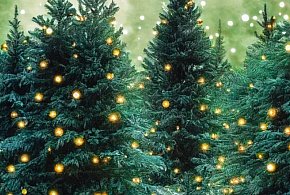 Za nami najzimniejsze Boże Narodzenie od 2021 r.-4555