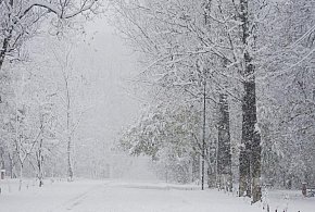 Prognozowane ciągłe opady śniegu w południowo wschodniej Polsce