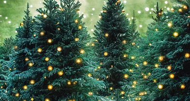 Za nami najzimniejsze Boże Narodzenie od 2021 r.-4555