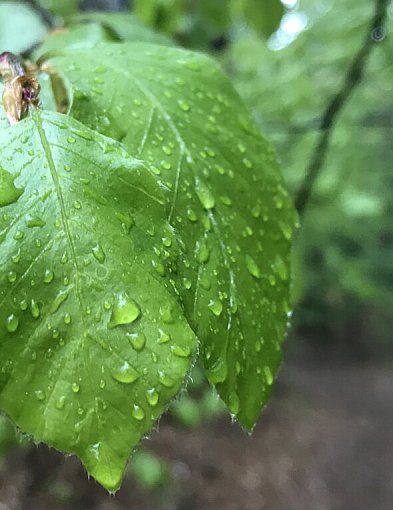 W najbliższych dniach typowa czerwcowa pogoda