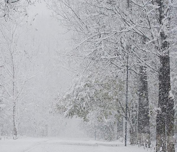 Prognozowane ciągłe opady śniegu w południowo wschodniej Polsce