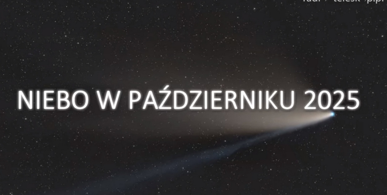 radio-teleskop.pl